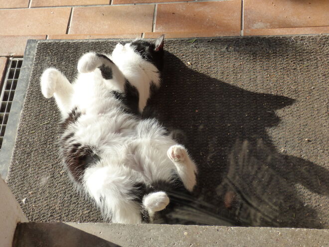 Wintersonne