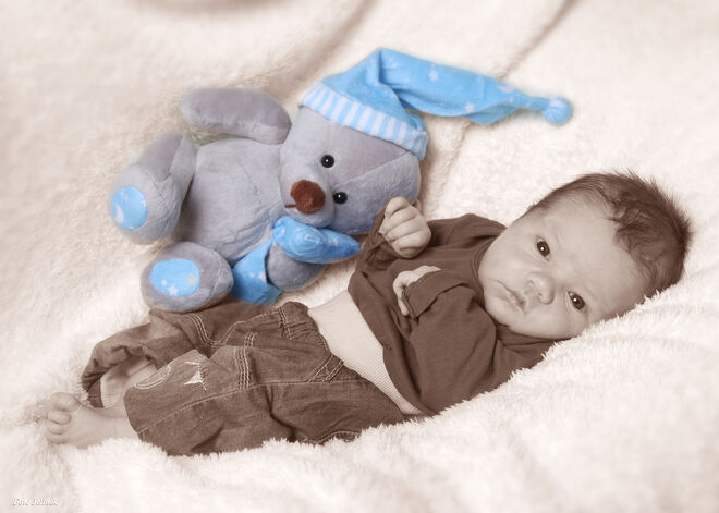 Alexander Luca