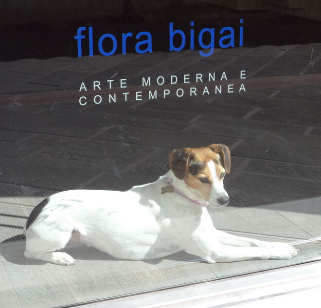 Galeriewachhund