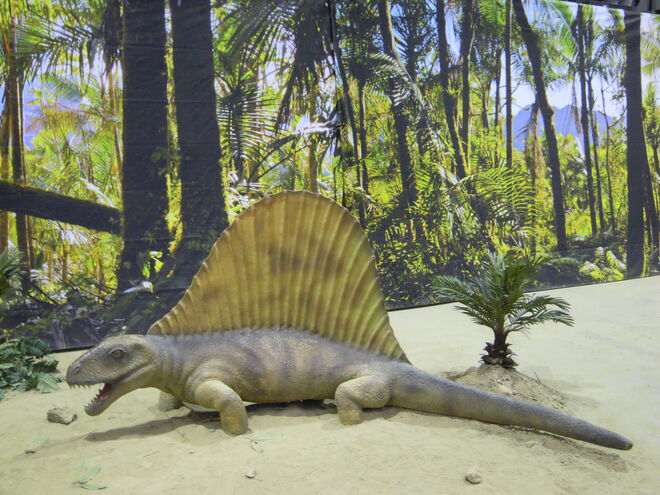 Noch ein Dino