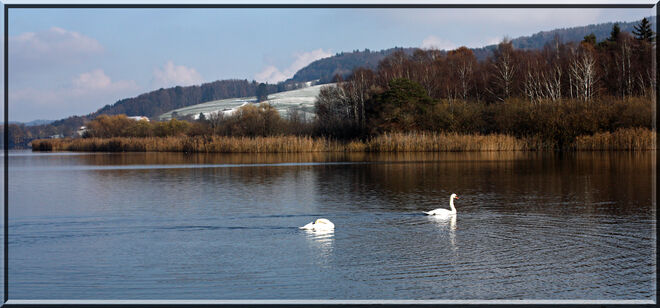 Am Obertrumersee