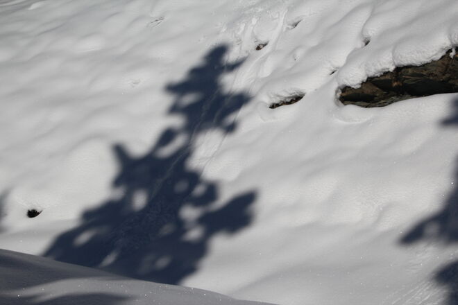 Schattenspiel