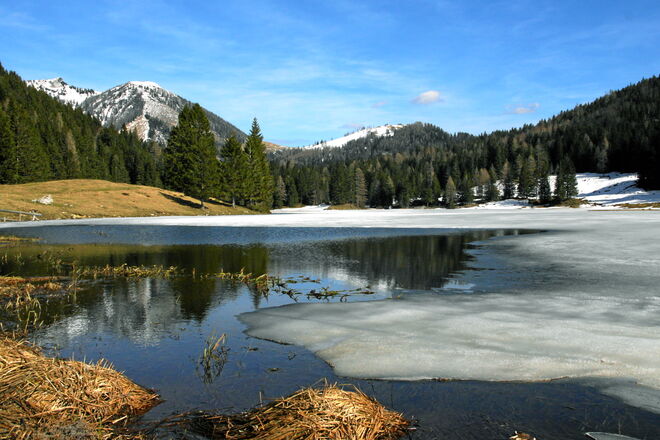 Am Seewaldsee