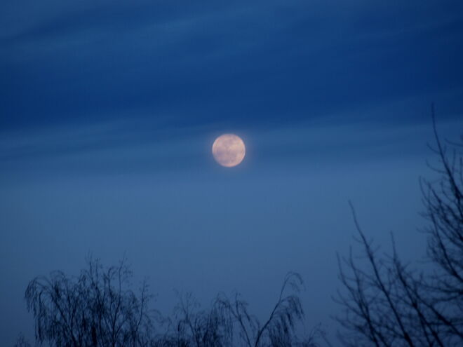 "L' Heure blue"