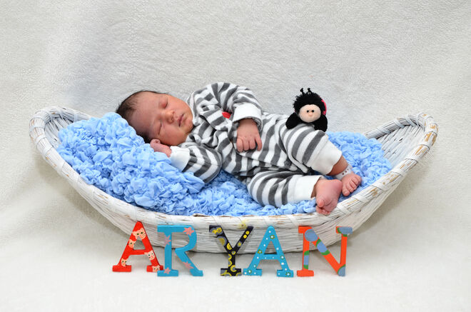 Aryan Polterauer