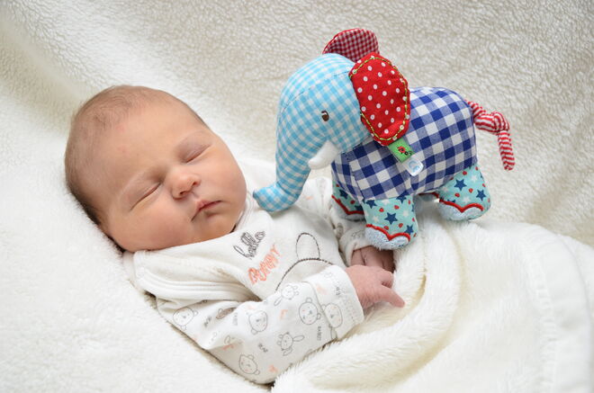 Annika Grace Taferner