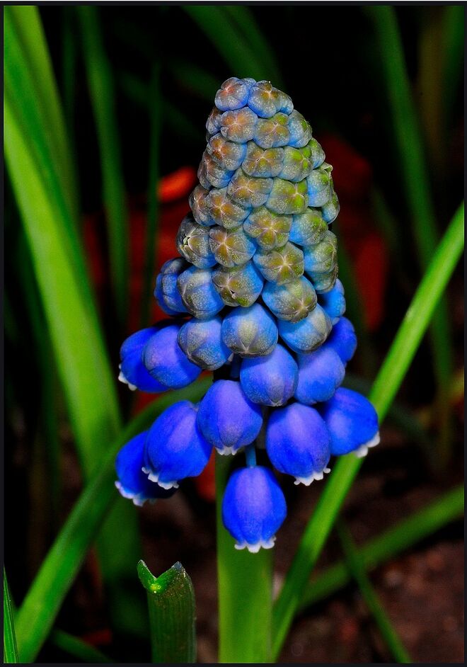 Frühling