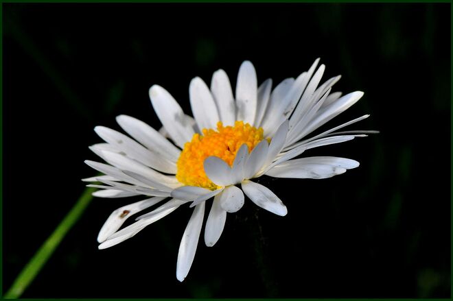 Frühling