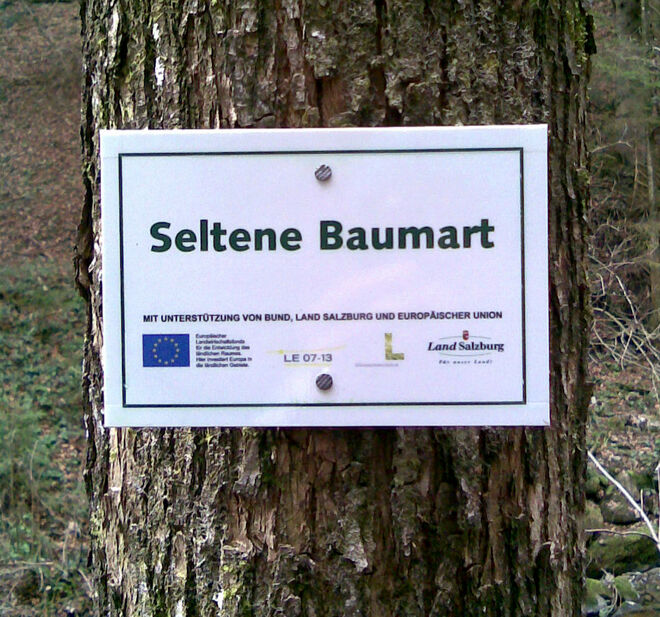 Selten