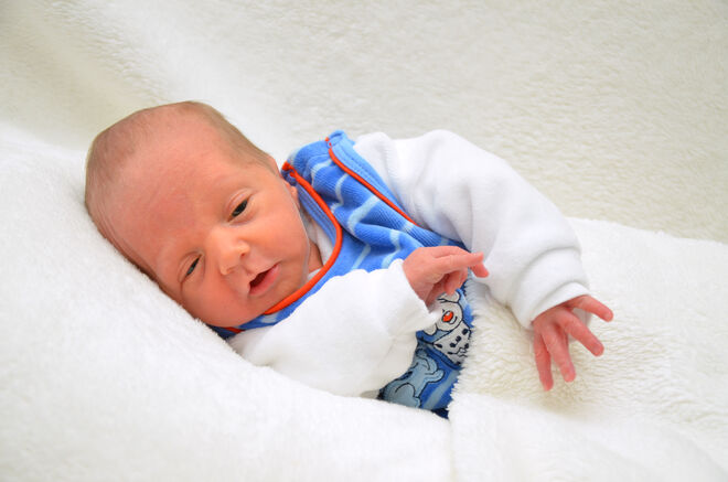 Noah Thomas Seebrunner