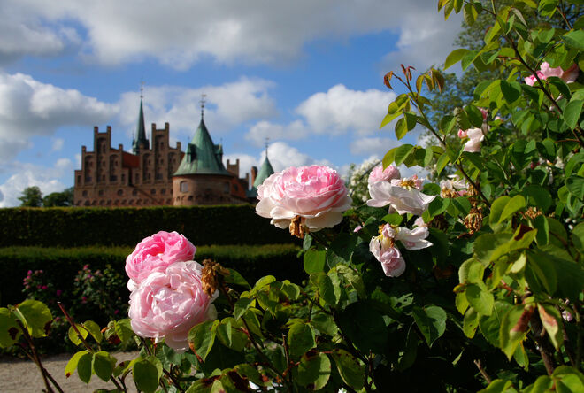 im Schloßgarten