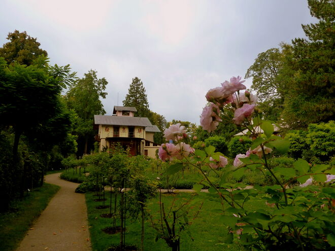 die Roseninsel