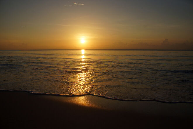 Goldener Morgen in Cancún
