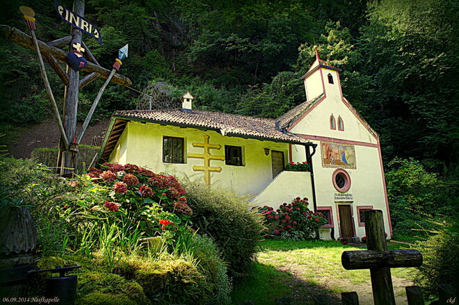 Kühle Waldeinsamkeit