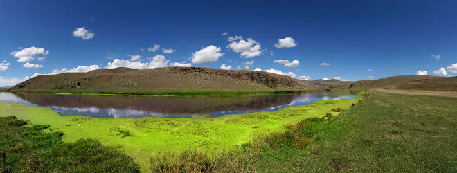 An der Kura in der Nähe von Ardahan