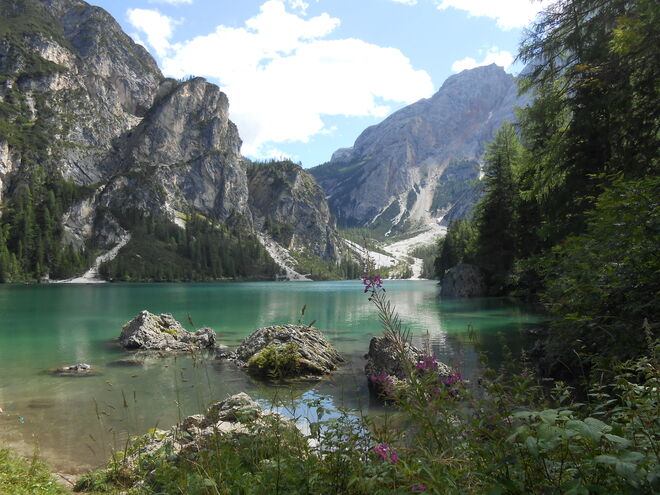 Pragser Wildsee | Lago di Braies