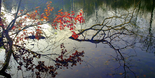 "GESCHMÜCKTER ENKNACH-WEIHER"