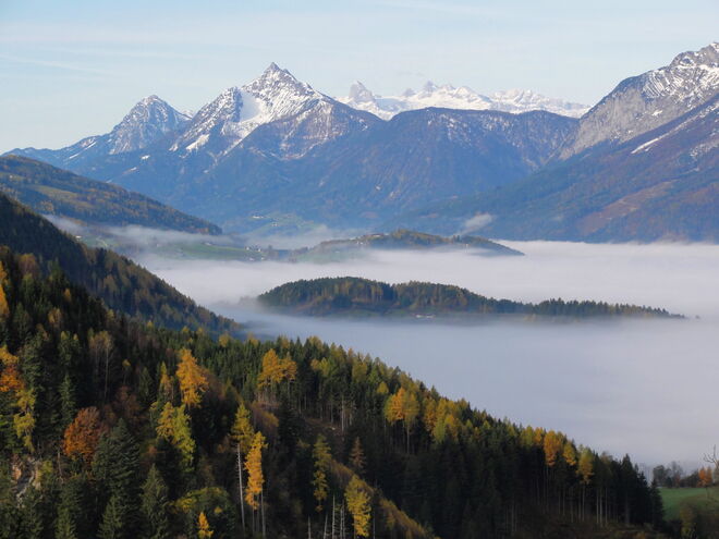 Morgennebel am Allerheiligentag