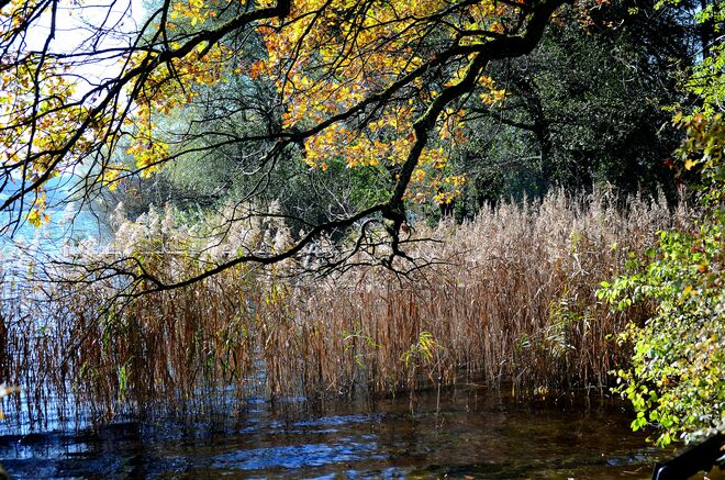 Herbstliches