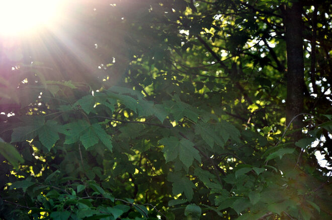 sonnige Aussichten