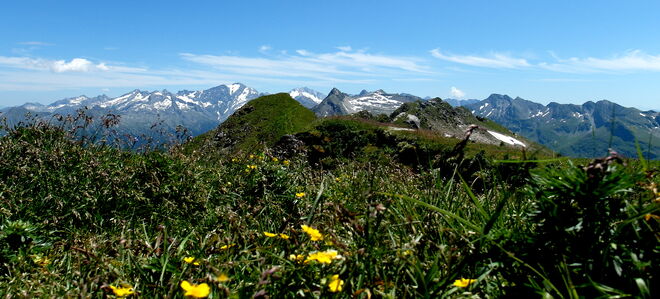 Blick über die Flora der Kolmkarspitze auf Hochalmspitze und Ankogelgruppe
