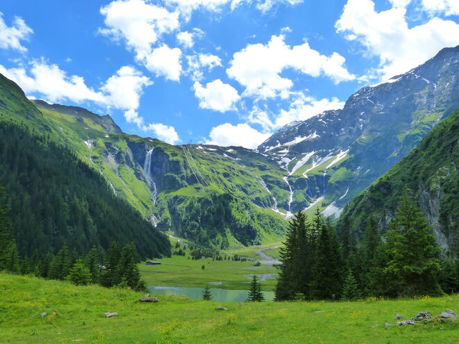 Balsam für die Seele