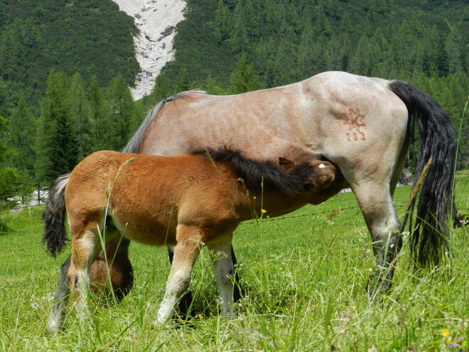 an der Quelle