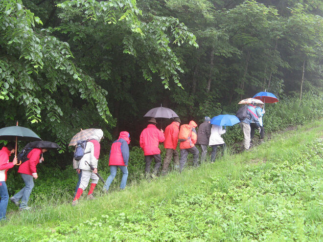 Aufstieg in den Hexenwald