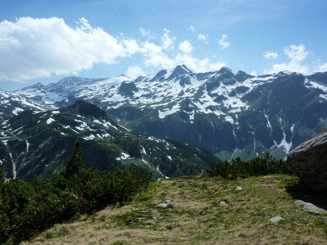 Blick zum Glockner