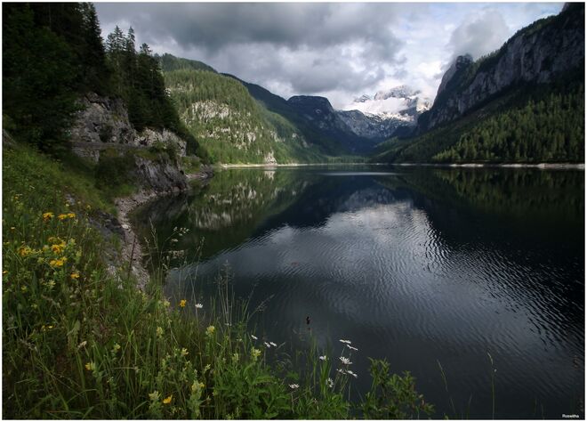 Schwarzwasser