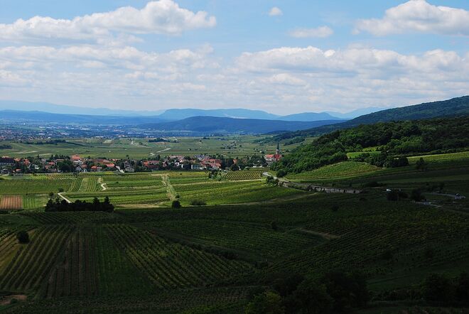 An der Thermenlinie