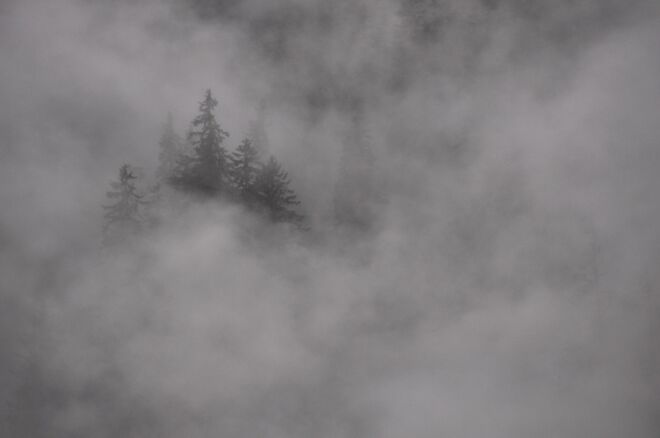 auf der Suche nach dem Sommer