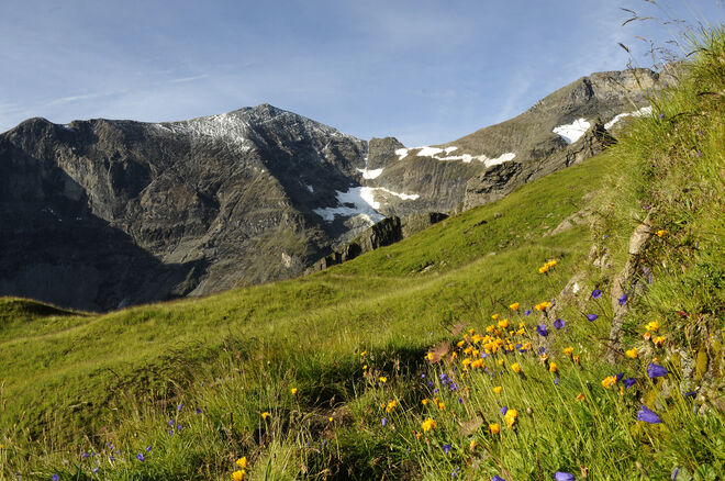 Hoher Tenn