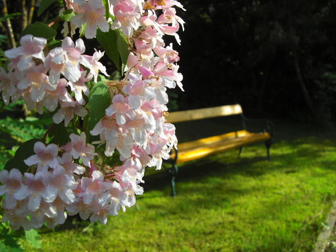 a quiet place to relax