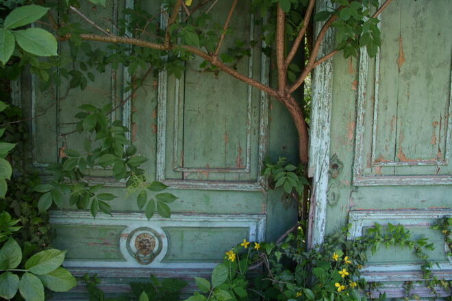 Der geheime Garten