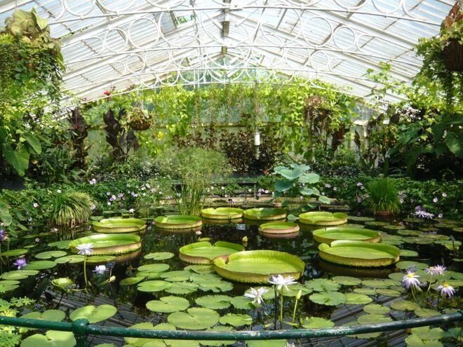 Kew Garden