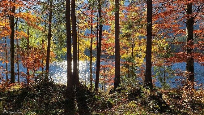 Ein Farbentraum am See