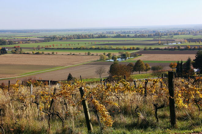 Das weite Land