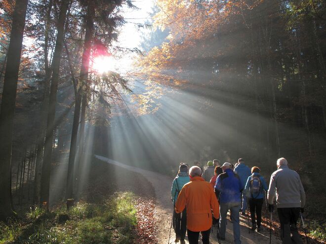 Der Sonne entgegen
