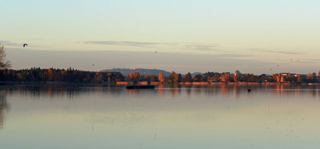 Abendstimmung am Mattsee