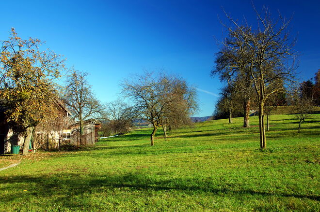 Der Herbst, der ein Frühling ist