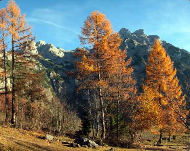 Spätherbst
