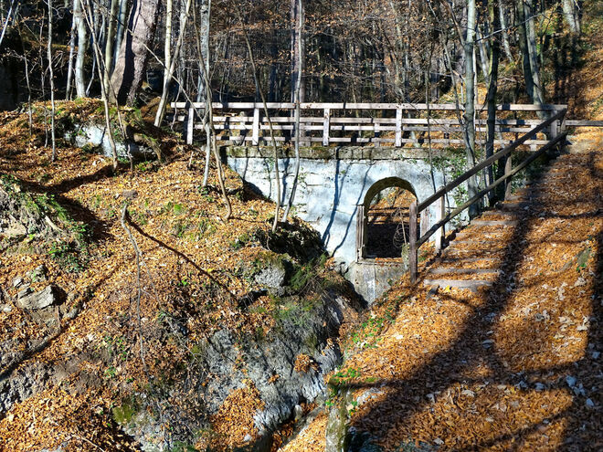 im aigner park