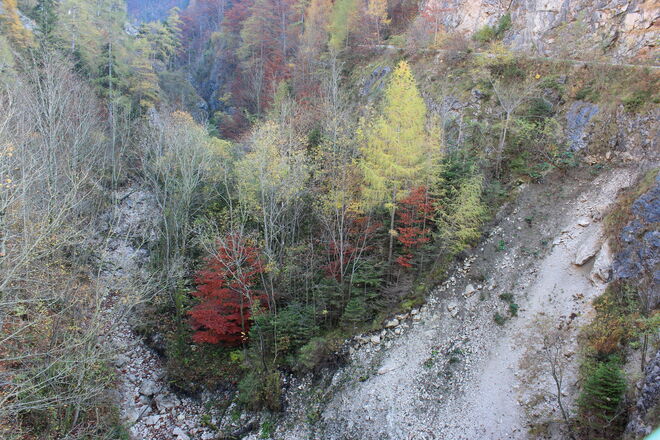 In der Schlucht