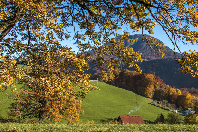 Blick zum Gaisberg