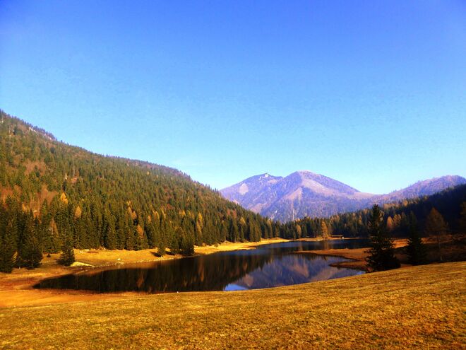 der Seewaldsee
