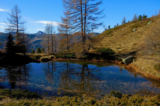 Dunkle Lacke im Spätherbst