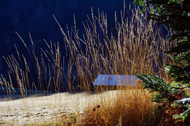 Herbstimpression
