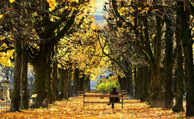 Rast im Herbstgold....