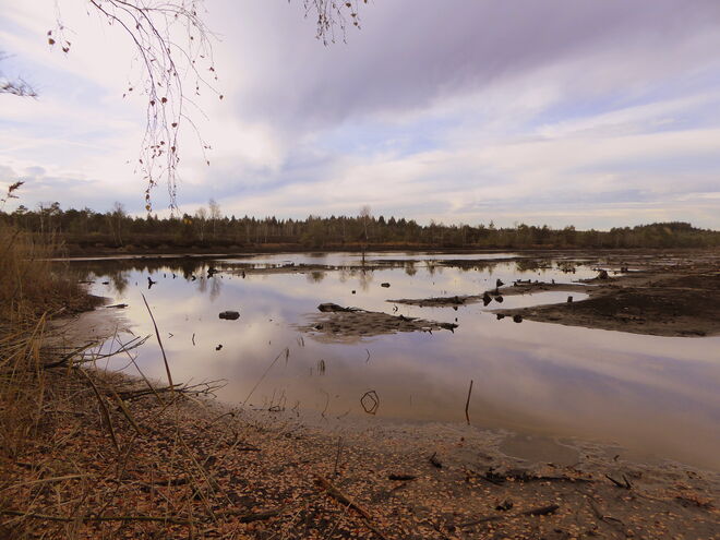 das Schönramer Moor..